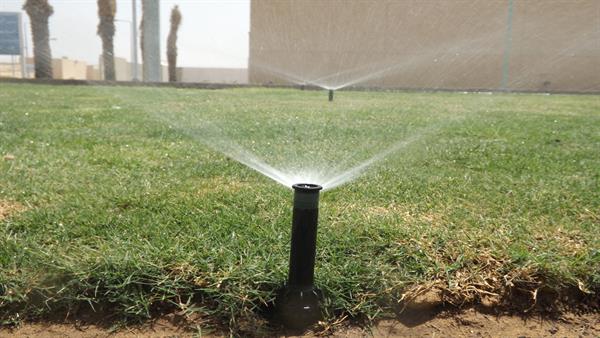 Irrigation pic